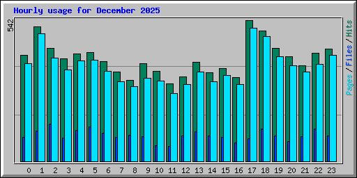 Hourly usage for December 2025