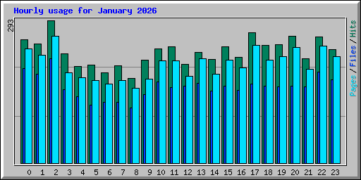 Hourly usage for January 2026